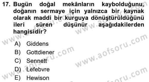 Tüketim Sosyolojisi Dersi 2022 - 2023 Yılı Yaz Okulu Sınav Soruları 17. Soru