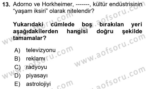 Tüketim Sosyolojisi Dersi 2023 - 2024 Yılı (Vize) Ara Sınav Soruları 13. Soru