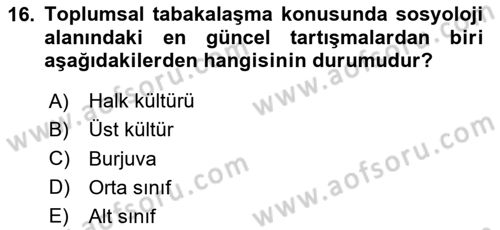 Tüketim Sosyolojisi Dersi 2023 - 2024 Yılı (Vize) Ara Sınav Soruları 16. Soru