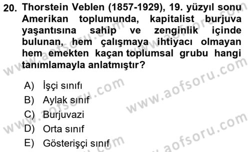 Tüketim Sosyolojisi Dersi 2023 - 2024 Yılı (Vize) Ara Sınav Soruları 20. Soru