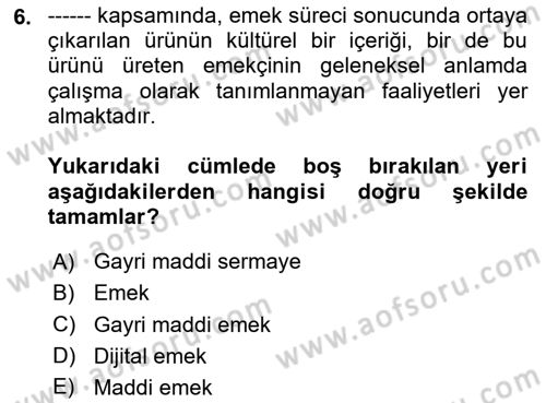 Tüketim Sosyolojisi Dersi 2023 - 2024 Yılı (Vize) Ara Sınav Soruları 6. Soru