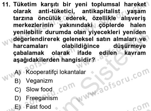 Tüketim Sosyolojisi Dersi 2023 - 2024 Yılı (Final) Dönem Sonu Sınav Soruları 11. Soru