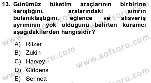 Tüketim Sosyolojisi Dersi 2023 - 2024 Yılı (Final) Dönem Sonu Sınav Soruları 13. Soru