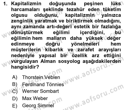 Tüketim Sosyolojisi Dersi 2023 - 2024 Yılı Yaz Okulu Sınav Soruları 1. Soru