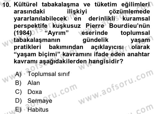 Tüketim Sosyolojisi Dersi 2023 - 2024 Yılı Yaz Okulu Sınav Soruları 10. Soru