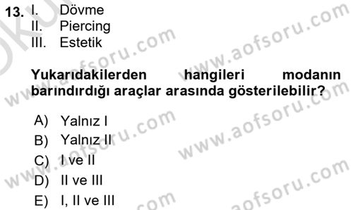 Tüketim Sosyolojisi Dersi 2023 - 2024 Yılı Yaz Okulu Sınav Soruları 13. Soru