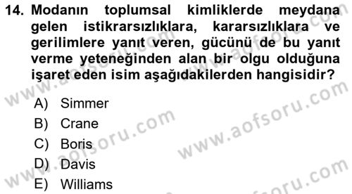 Tüketim Sosyolojisi Dersi 2023 - 2024 Yılı Yaz Okulu Sınav Soruları 14. Soru