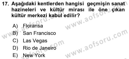 Tüketim Sosyolojisi Dersi 2023 - 2024 Yılı Yaz Okulu Sınavı 17. Soru