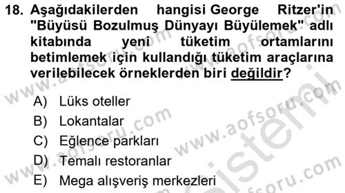 Tüketim Sosyolojisi Dersi 2023 - 2024 Yılı Yaz Okulu Sınav Soruları 18. Soru