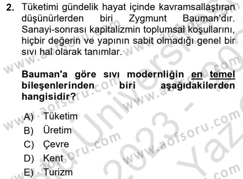 Tüketim Sosyolojisi Dersi 2023 - 2024 Yılı Yaz Okulu Sınav Soruları 2. Soru