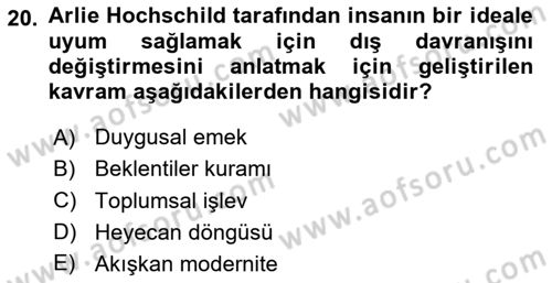 Tüketim Sosyolojisi Dersi 2023 - 2024 Yılı Yaz Okulu Sınav Soruları 20. Soru