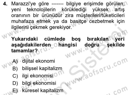 Tüketim Sosyolojisi Dersi 2023 - 2024 Yılı Yaz Okulu Sınav Soruları 4. Soru