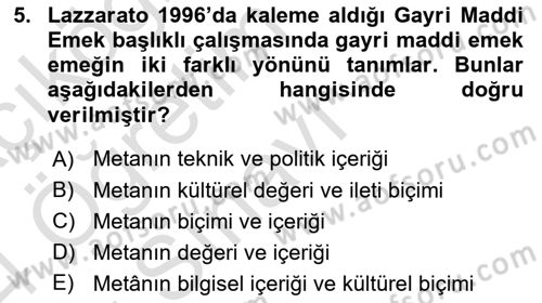 Tüketim Sosyolojisi Dersi 2023 - 2024 Yılı Yaz Okulu Sınav Soruları 5. Soru