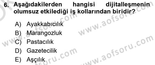 Tüketim Sosyolojisi Dersi 2023 - 2024 Yılı Yaz Okulu Sınav Soruları 6. Soru