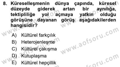 Tüketim Sosyolojisi Dersi 2023 - 2024 Yılı Yaz Okulu Sınav Soruları 8. Soru