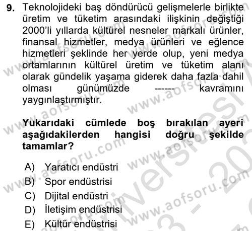 Tüketim Sosyolojisi Dersi 2023 - 2024 Yılı Yaz Okulu Sınav Soruları 9. Soru