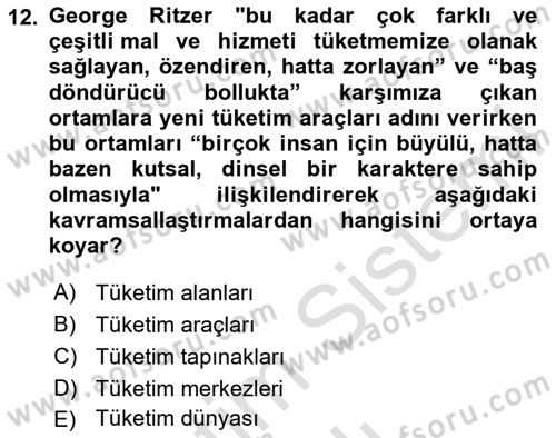 Tüketim Sosyolojisi Dersi 2024 - 2025 Yılı (Vize) Ara Sınav Soruları 12. Soru