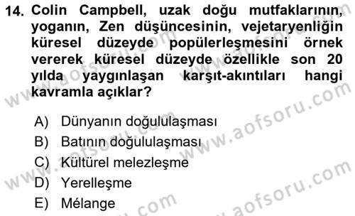 Tüketim Sosyolojisi Dersi 2024 - 2025 Yılı (Vize) Ara Sınav Soruları 14. Soru