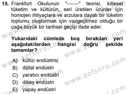 Tüketim Sosyolojisi Dersi 2024 - 2025 Yılı (Vize) Ara Sınav Soruları 15. Soru