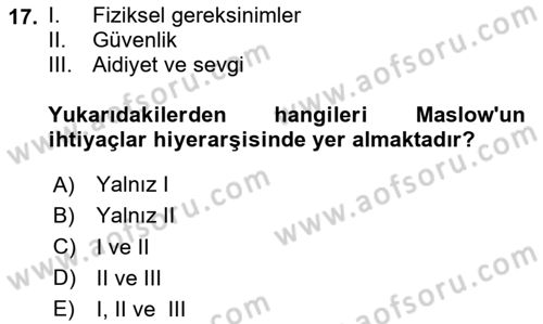 Tüketim Sosyolojisi Dersi 2024 - 2025 Yılı (Vize) Ara Sınav Soruları 17. Soru
