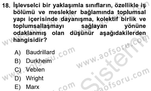 Tüketim Sosyolojisi Dersi 2024 - 2025 Yılı (Vize) Ara Sınav Soruları 18. Soru