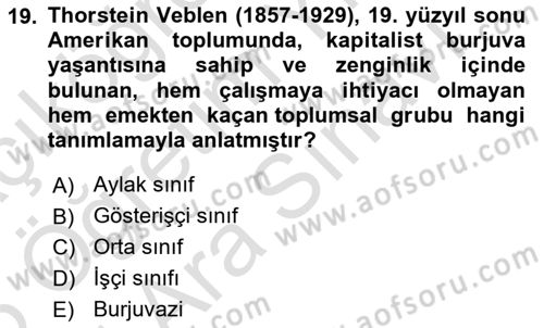 Tüketim Sosyolojisi Dersi 2024 - 2025 Yılı (Vize) Ara Sınav Soruları 19. Soru