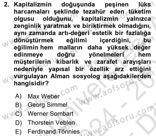 Tüketim Sosyolojisi Dersi 2024 - 2025 Yılı (Vize) Ara Sınav Soruları 2. Soru