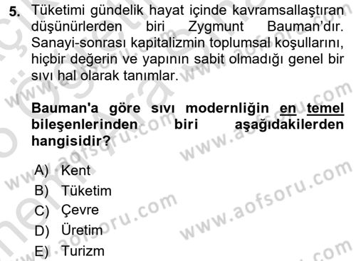 Tüketim Sosyolojisi Dersi 2024 - 2025 Yılı (Vize) Ara Sınav Soruları 5. Soru