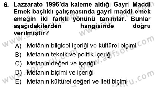 Tüketim Sosyolojisi Dersi 2024 - 2025 Yılı (Vize) Ara Sınav Soruları 6. Soru