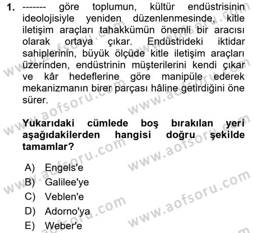 Tüketim Sosyolojisi Dersi 2024 - 2025 Yılı (Final) Dönem Sonu Sınav Soruları 1. Soru