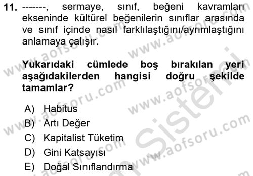 Tüketim Sosyolojisi Dersi 2024 - 2025 Yılı (Final) Dönem Sonu Sınav Soruları 11. Soru