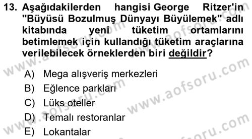 Tüketim Sosyolojisi Dersi 2024 - 2025 Yılı (Final) Dönem Sonu Sınav Soruları 13. Soru