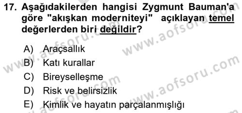 Tüketim Sosyolojisi Dersi 2024 - 2025 Yılı (Final) Dönem Sonu Sınav Soruları 17. Soru