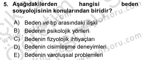 Tüketim Sosyolojisi Dersi 2024 - 2025 Yılı (Final) Dönem Sonu Sınav Soruları 5. Soru