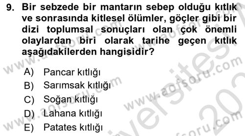 Tüketim Sosyolojisi Dersi 2024 - 2025 Yılı (Final) Dönem Sonu Sınav Soruları 9. Soru