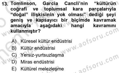 Tüketim Sosyolojisi Dersi 2025 - 2026 Yılı (Vize) Ara Sınav Soruları 13. Soru