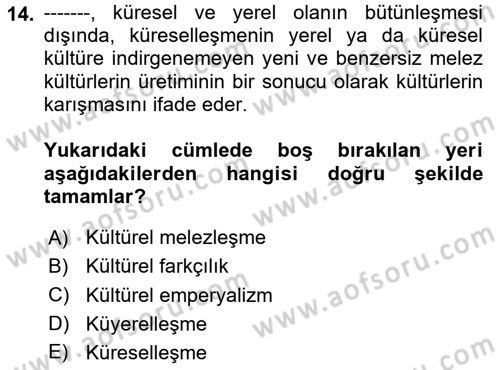 Tüketim Sosyolojisi Dersi 2025 - 2026 Yılı (Vize) Ara Sınav Soruları 14. Soru