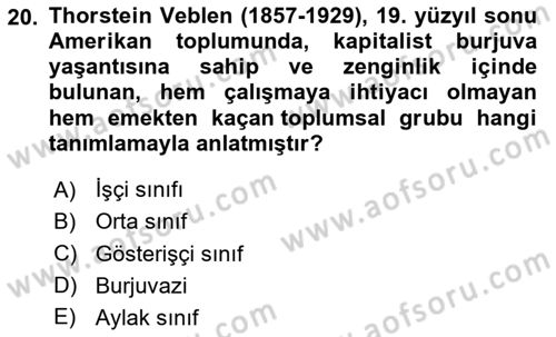 Tüketim Sosyolojisi Dersi 2025 - 2026 Yılı (Vize) Ara Sınav Soruları 20. Soru