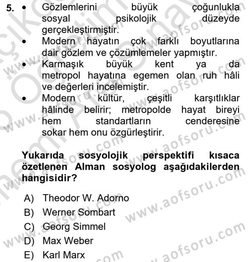 Tüketim Sosyolojisi Dersi 2025 - 2026 Yılı (Vize) Ara Sınav Soruları 5. Soru