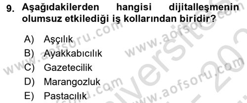 Tüketim Sosyolojisi Dersi 2025 - 2026 Yılı (Vize) Ara Sınav Soruları 9. Soru