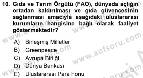 Tüketim Sosyolojisi Dersi 2025 - 2026 Yılı (Final) Dönem Sonu Sınav Soruları 10. Soru