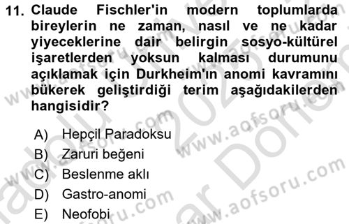 Tüketim Sosyolojisi Dersi 2025 - 2026 Yılı (Final) Dönem Sonu Sınav Soruları 11. Soru