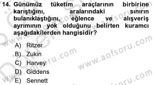 Tüketim Sosyolojisi Dersi 2025 - 2026 Yılı (Final) Dönem Sonu Sınav Soruları 14. Soru