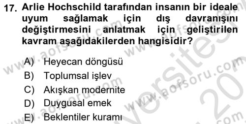 Tüketim Sosyolojisi Dersi 2025 - 2026 Yılı (Final) Dönem Sonu Sınav Soruları 17. Soru