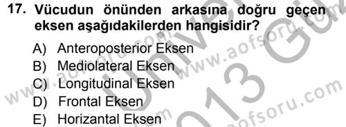 Spor Bilimlerine Giriş Dersi Ara Sınavı Deneme Sınav Soruları 17. Soru