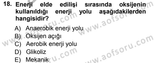 Spor Bilimlerine Giriş Dersi Ara Sınavı Deneme Sınav Soruları 18. Soru