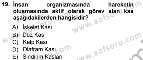 Spor Bilimlerine Giriş Dersi Ara Sınavı Deneme Sınav Soruları 19. Soru