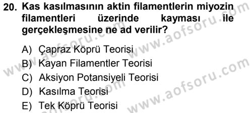 Spor Bilimlerine Giriş Dersi Ara Sınavı Deneme Sınav Soruları 20. Soru