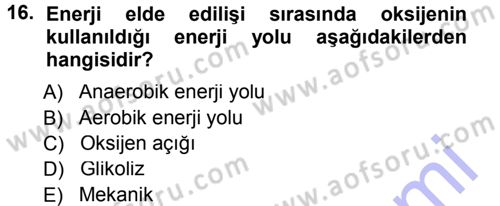 Spor Bilimlerine Giriş Dersi Ara Sınavı Deneme Sınav Soruları 16. Soru