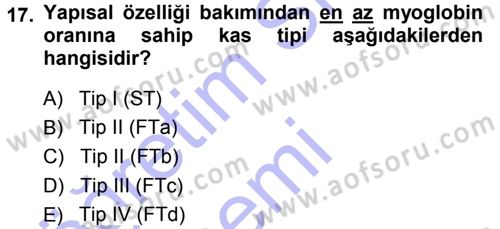 Spor Bilimlerine Giriş Dersi Ara Sınavı Deneme Sınav Soruları 17. Soru